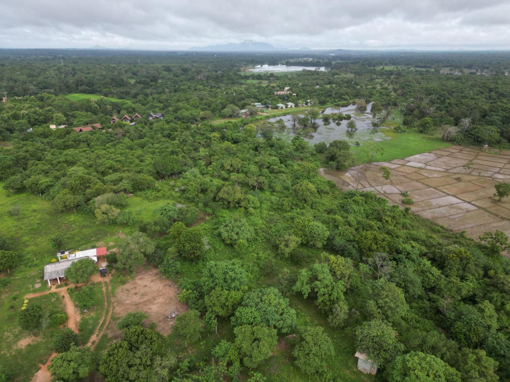 Sigiri Arana Sigiriya Hotel Exterior photo