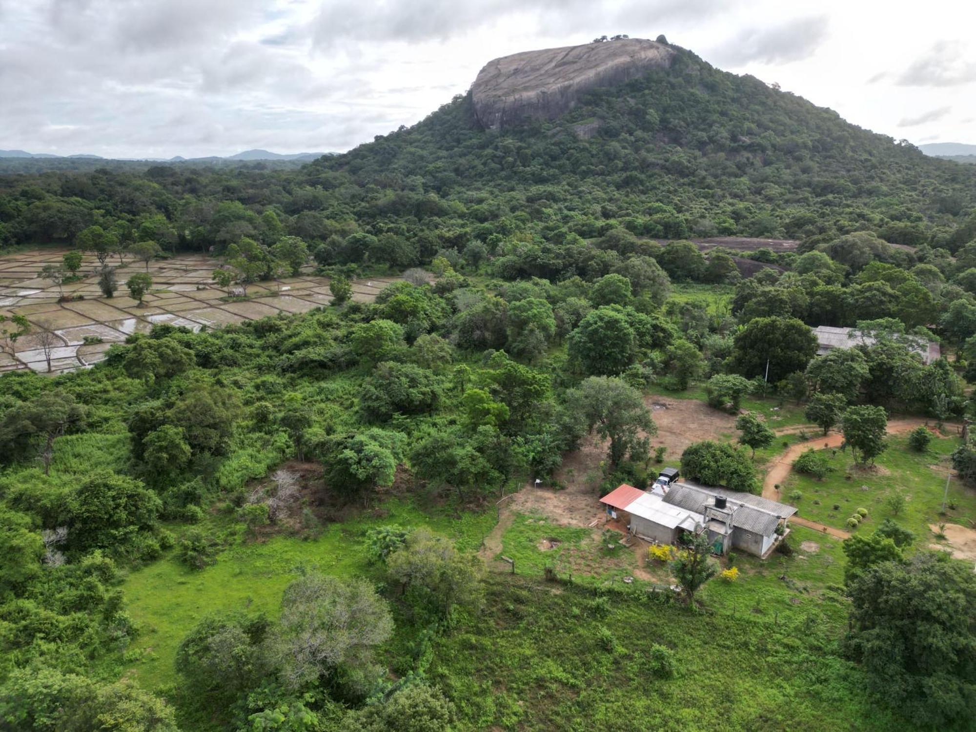 Sigiri Arana Sigiriya Hotel Exterior photo